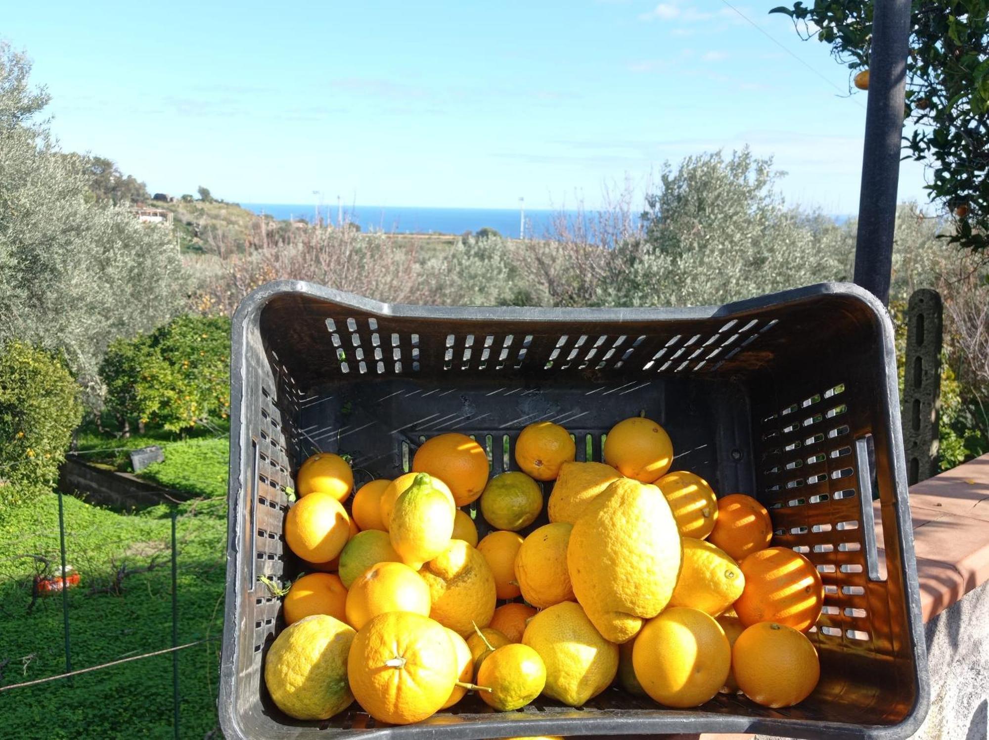 Ai Tre Desideri La Casita Aci Castello Exterior foto